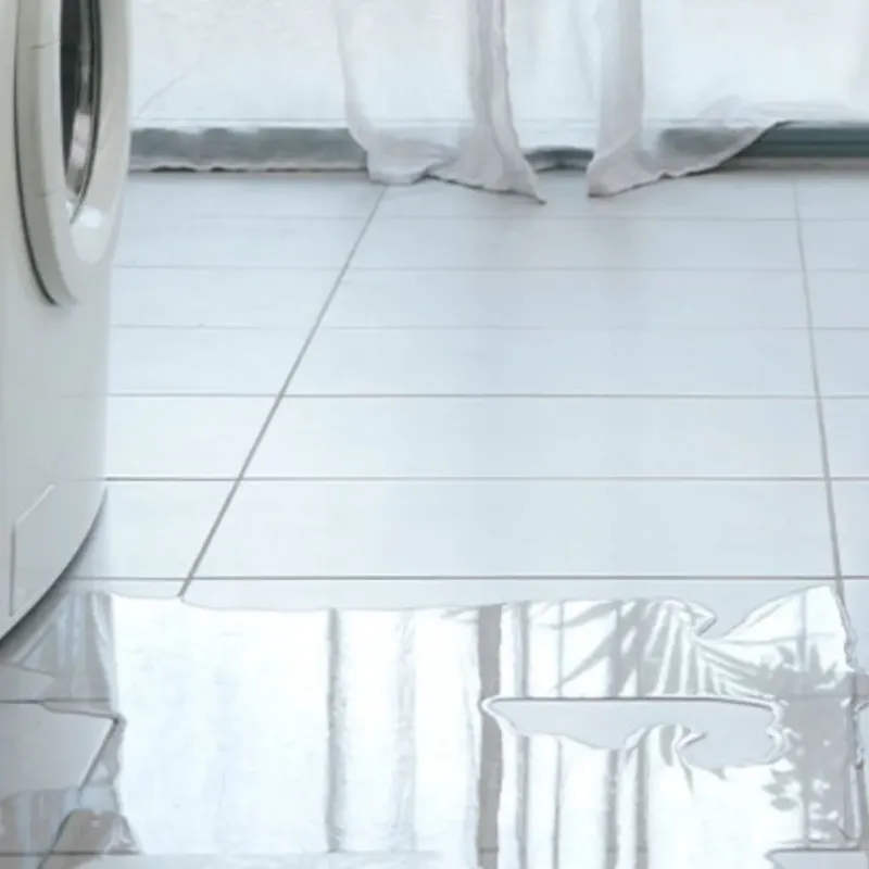 Appliance Leak Cleanup in Mallory, WV