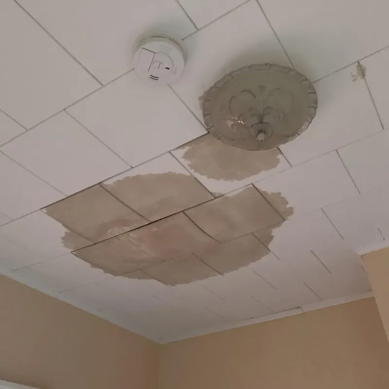 Ceiling Water Damage Repair in Mallory, WV