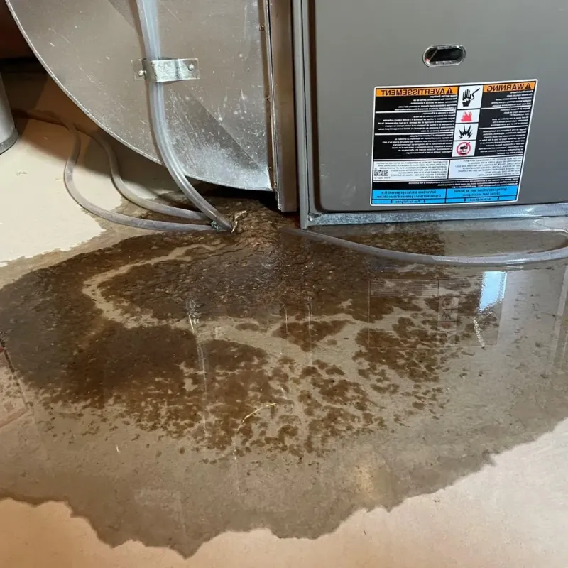 Pipe Burst and Leak Restoration in Mallory, WV