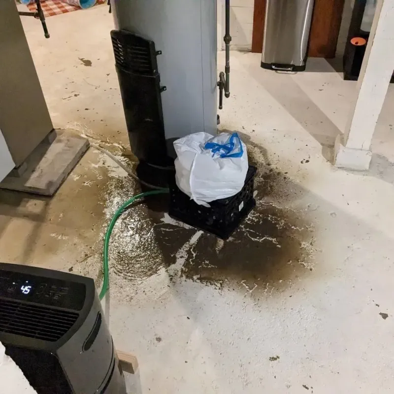 Sewage Backup Cleanup Service in Mallory, WV